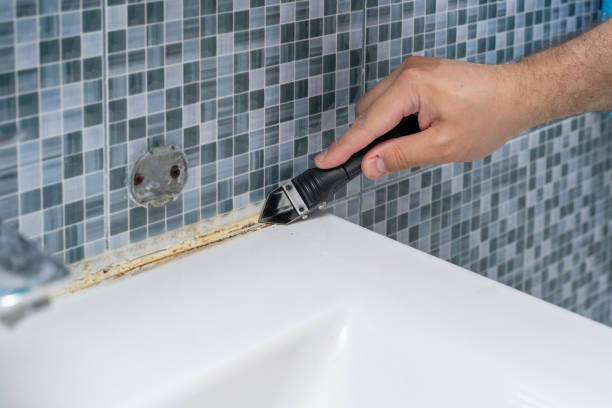 Best Mold Testing  in Alpine, CA