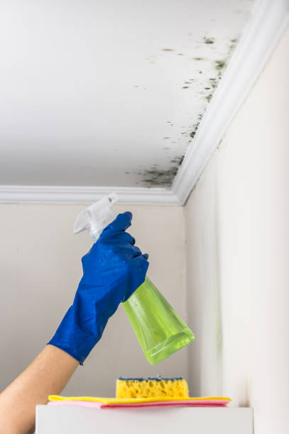 Water Damage Restoration in Alpine, CA